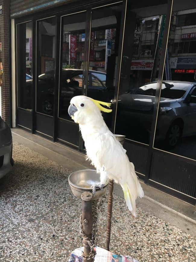 帰りは向上市場 まで歩きます。<br /><br />向上水餃で水餃子を外帯 (2.5元×10）