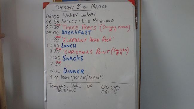 本日のスケジュール