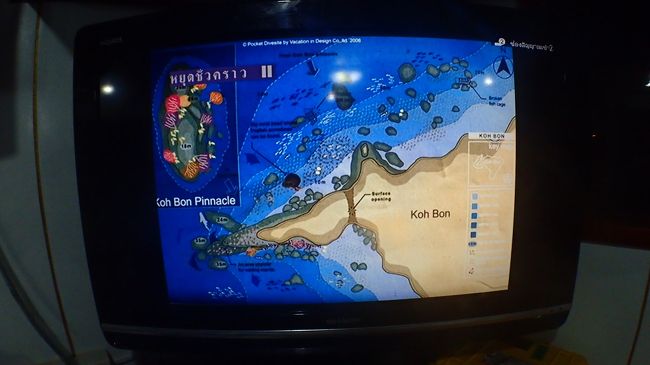 最後はナイトダイビング