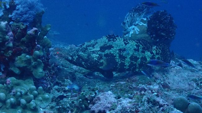 2本目～<br />いきなりおいしそうなのが！！