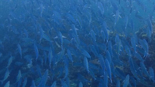 どひゃ～っと。すごすぎます！！