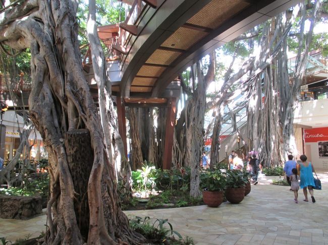 まだ、半分くらいしのお店しかオープンしてません。