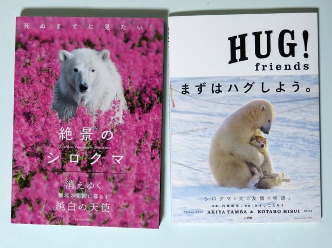 夢叶った北海道レッサーパンダ遠征 旭山動物園 4 ほっきょくぐま館ともぐもぐタイム ホッキョクギツネとオオカミの森 旭川 北海道 の旅行記 ブログ By まみさん フォートラベル 夢叶った北海道レッサーパンダ遠征 旭山動物園 4 ほっきょくぐま館ともぐもぐタイム ホッキョクギツネとオオカミの森 旭川 北海道 の旅行記 ブログ By まみさん フォートラベル