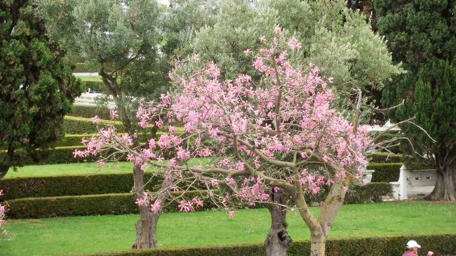 さらに海の方へ歩きます。<br />