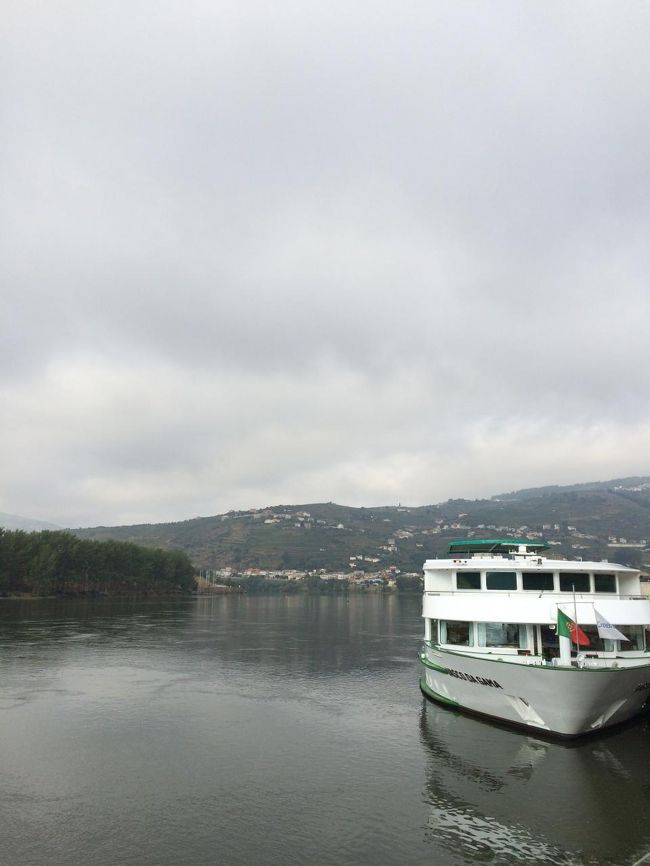 クルーズ船が停泊していました。<br />この町が、ドウロ渓谷観光の拠点となります。<br />イギリス人の高齢者らしき人たちが目に付きました。