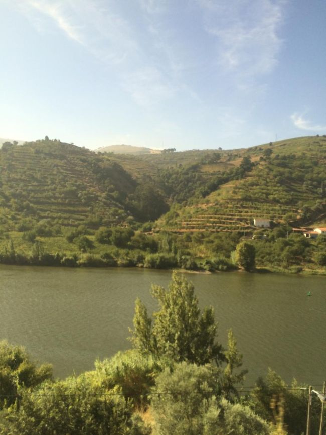 帰りも途中までは渓谷沿いの風景を楽しめます。