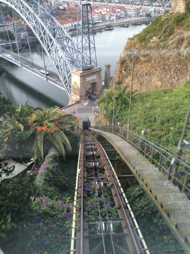 スルスルと登っていきます。