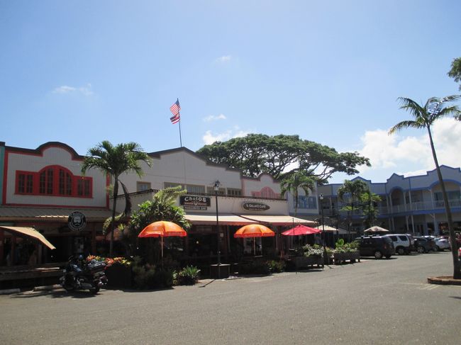 青い空が絵になるね。