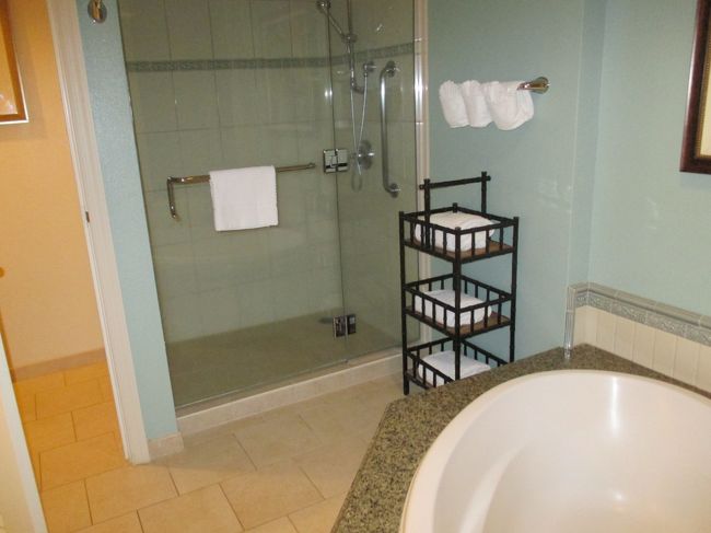 ベット、トイレ、シャワールームが２つあります。広々使えます。空室の状況で、予約の取れる部屋を選択したらここになりました。何気にラッキー池田です。