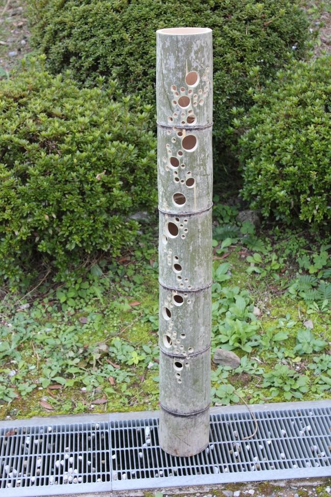 暗くなると幻想的な灯りが灯されるようです