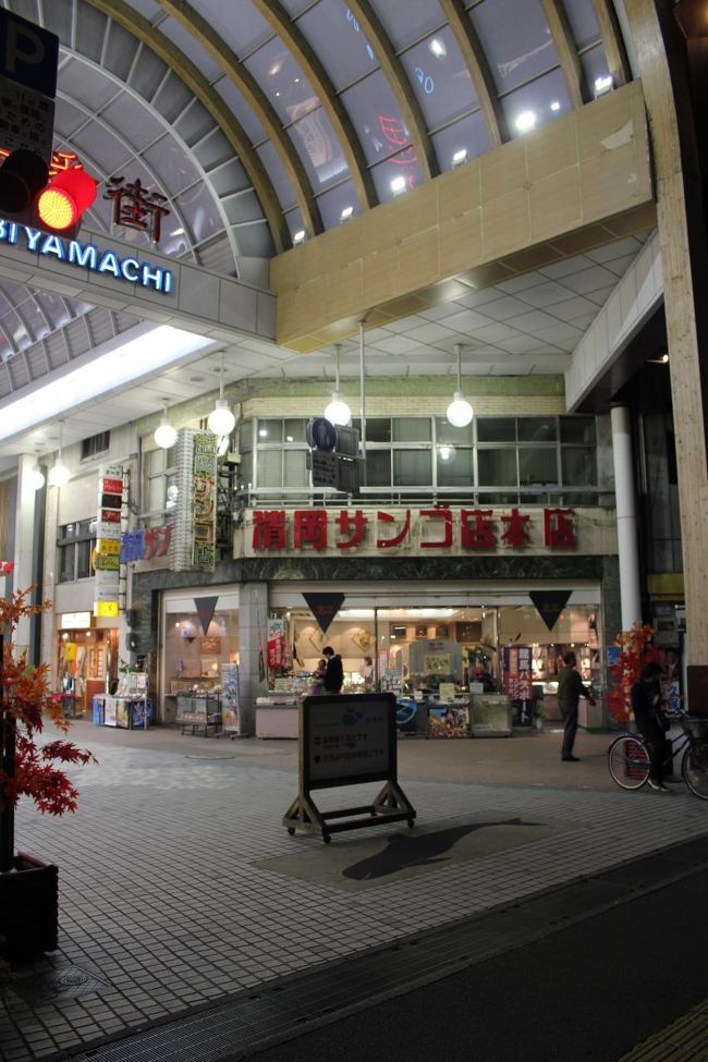 珊瑚屋さんが多いですね