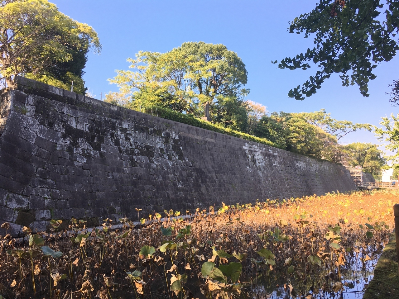 島津家の居城があった鶴丸城跡に来ました。

天守閣が無い、館造りの城だったそうです。

石垣や堀は見事です。
