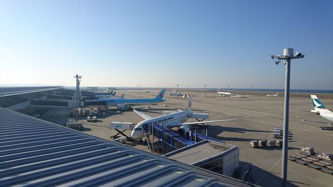 Wi-Fiレンタルとチェックインを済ませたらいつものセントレア展望デッキへ♪<br /><br />いい天気です！朝はたくさんの飛行機がいるんですね～(@_@