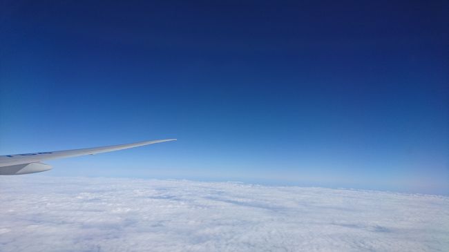 雲海ときれいなスカイブルー