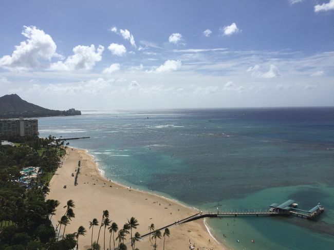 １０月３１日(月)ハロウィンの日です。<br /><br />朝起きて子供を起こさないようにこそっと一人で海に！<br /><br />脱出成功すると、またまたウミガメが接近なぜこんなにＷｅｌｃｏｍｅ？(^^)v<br /><br />しかし海は相変わらず、波も小さくたまにスコールが降り強風が続いております。