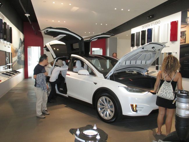 テスラも売ってます。