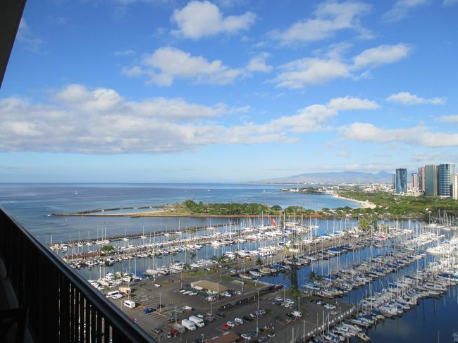 ７日目です。今日は風があります。気持ちのいい朝です。