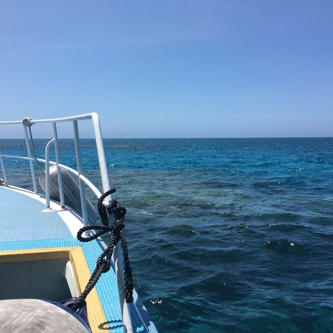 3日目はボート講習。<br />なかなか寝付けず当日酷い船酔いに。<br />この日は3本ボートダイブのはずが船酔いがもどらず2本になりました。汗<br />ですが無事、オープンウォーターCカード取得！<br />石垣島の海は魚がとりあえず多かったです。<br />ポイントによって魚、地形など全然見方が違って感動しました。