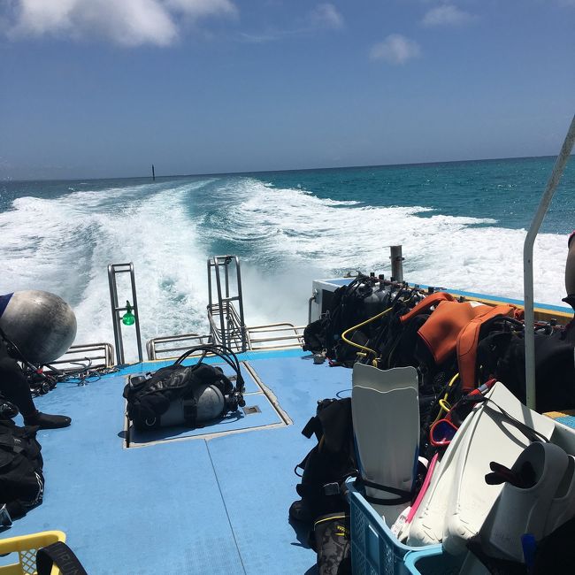 4日目はファンダイビング。<br />実はこの日もかなりの寝不足だったのですが全く船酔いせず。。。<br />どうやら私は、朝食を摂り過ぎると酔うようです。<br /><br />無事3本潜ってきました。<br />トカキンの根<br />やすらぎの根<br />リュウグウの根<br />写真はありませんが魚はそれなりにたくさんいます。<br />ほぼ砂地で、私はまだ慣れておらずバランスを取るのに必至でした。<br />ひょこっと覗くチンアナゴ可愛かったなあ。<br />期待していたマンタ見られず残念でした。