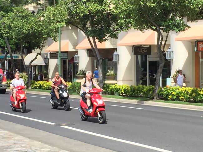 レンタルバイク<br /><br />ノーヘルでもOKです。<br /><br />こんなの便利ですですね～