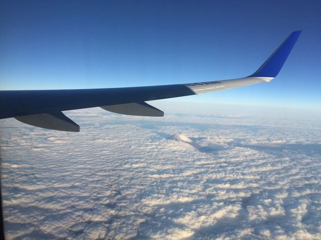 雪化粧の富士山