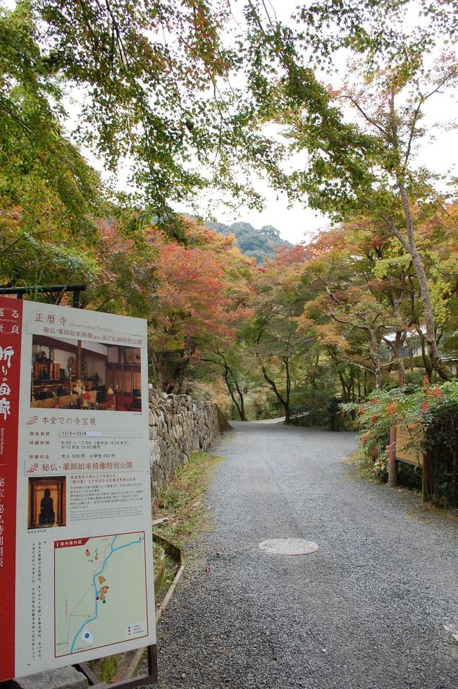 少し紅葉した参道を歩きます。