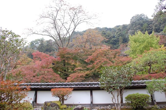 自然と調和した風景です。<br />遠くに柿が実っています。