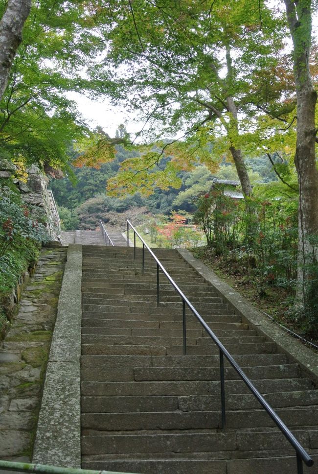 本堂への階段を上がります。<br />拝観料は￥500です。