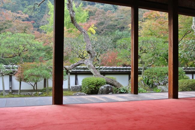 また、こちらでは鎌倉時代の「孔雀明王像」が間近で参拝できます。