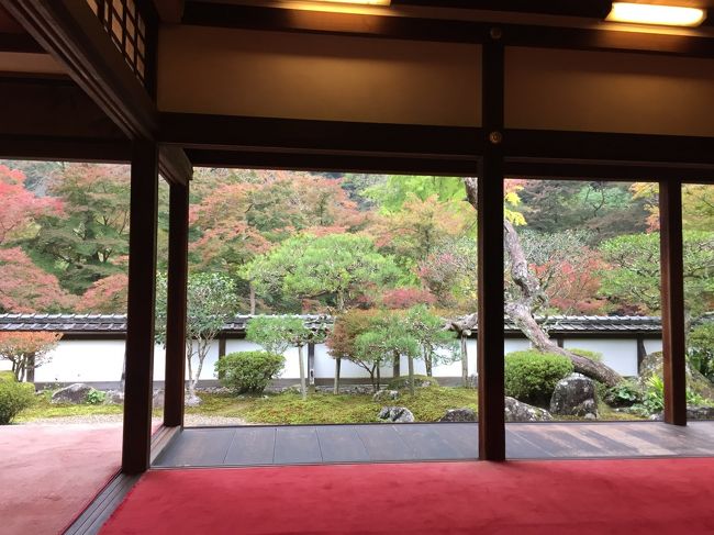 雨がしとしと降ってきましたが、それもまたいい雰囲気でしばし見入ってしまいました。