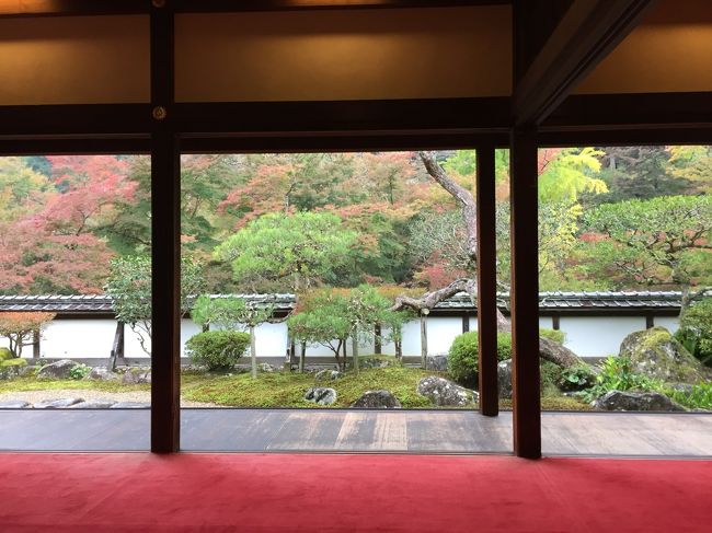 福寿院客殿<br />１６８１年建立の数寄屋風建築（国指定重要文化財）<br /><br />美しい借景庭園です。