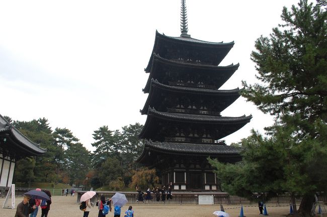 再び奈良市内に戻って、ならまちパーキングに車を停めて、興福寺まで歩いてきました。
