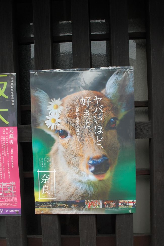 秋の奈良旅を満喫しました。