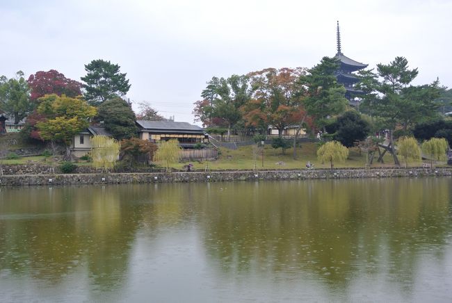 美しい風景です。