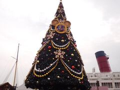 S.S. コロンビア号前のクリスマスツリー、昼バージョン。

またあとでライトアップされたら撮りに来ます☆