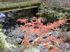 箕面公園

のーとくんの助手席に乗せていただき、楽ちんさせていただき、約４０分で箕面の滝の近くの駐車場に到着。
箕面川沿いを歩き、滝へ向かいます。

紅葉は、全体的にはまだ少し早いようですが、綺麗に色づいている木もありました。