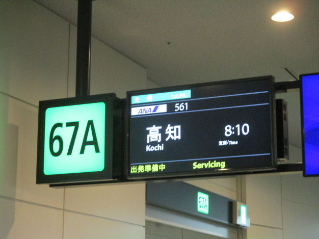 ふるさと納税でana旅 羽田 高知龍馬空港 日帰りで足摺岬タッチ 足摺岬周辺 高知県 の旅行記 ブログ By Wakupaku2さん フォートラベル