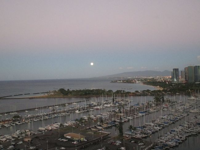 早朝、こんな月が見えました。