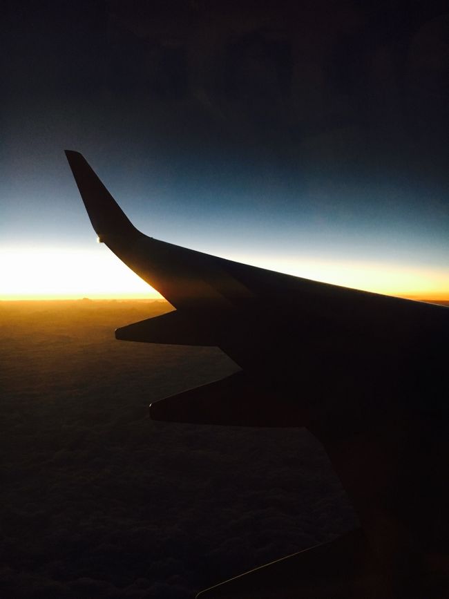 さあ、石垣島もこれでおしまい。<br />毎晩三線三昧、カチャーシー三昧、ビールに泡盛、ライブと楽しく帰宅後<br />あの日々がまるで竜宮城の夢のごとしとなった旅でした