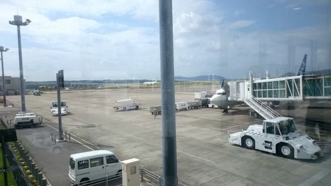 丁寧にCAさん方に挨拶し、降機しました。<br /><br /><br />初の石垣島です。<br /><br />初なのに3時間もいることができません(^^;<br /><br /><br /><br />そういえば、沖縄本島も最大で6時間しか居たことがないような・・・<br /><br /><br />