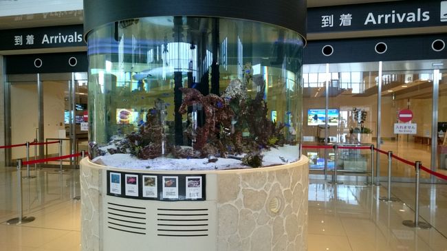 沖縄は空港に水槽を置く、という風習があるのでしょうか？(笑)<br /><br /><br />那覇空港にも置いてありますしね。<br /><br /><br /><br />なかなか見れないお魚があるので見入ってしまいます。<br /><br /><br />