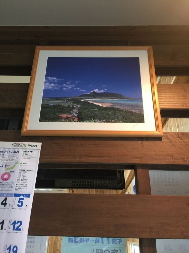 店内の写真はみてて癒されます