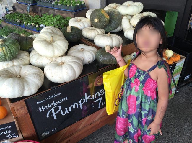 ハロウィン用のかぼちゃ？<br /><br />地味ですけど(';')<br /><br />