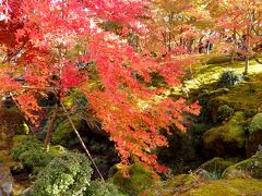 箱根美術館に入場。入場券を買うのに少し並びましたが、進みは早かった。

紅葉名所として知られる箱根美術館のお庭「神仙郷」は登録記念物。今回はお庭が目当てで時間もないので美術館は見ませんでした。

土日祝日と11月には、通常公開されている庭園に加え、奥庭「石楽園」も特別公開されます。

入場料は大人900円（中学生以下無料）〔箱根フリーパスで200円引〕