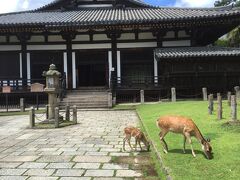 東大寺三月堂(法華堂)