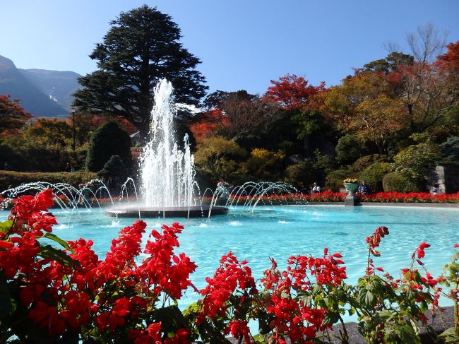 秋色に染まる箱根 紅葉の強羅公園 箱根美術館 ロープウェイで弾丸 大涌谷 強羅温泉 神奈川県 の旅行記 ブログ By まーやんさん フォートラベル