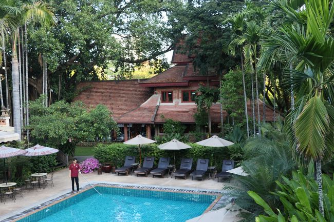 木の葉等 も殆ど無いが 小さな物も<br />すくって 綺麗な状態です