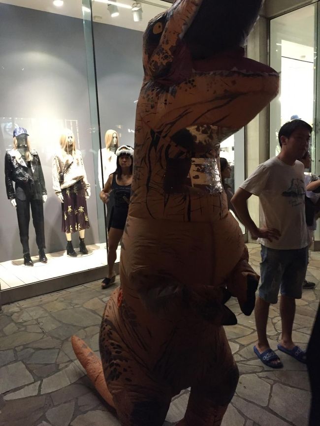 恐竜は何体もおりました。