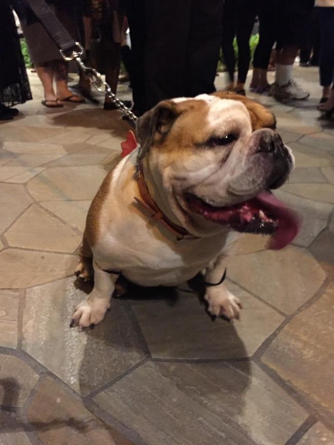 分かり辛いですがフレンチも仮想。