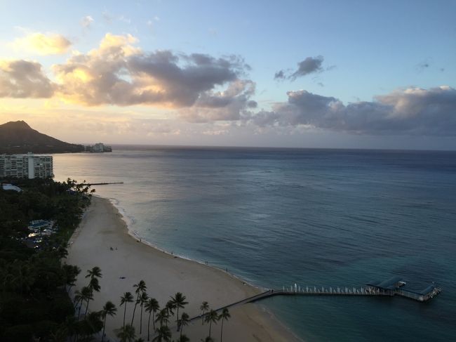 11月1日（火）今日は予定無し<br /><br />夜が明けてこっそりまた海に！<br /><br />相変わらず波も小さく、今日こそウミガメの写真を撮ってやろうと防水カメラを持って海に！